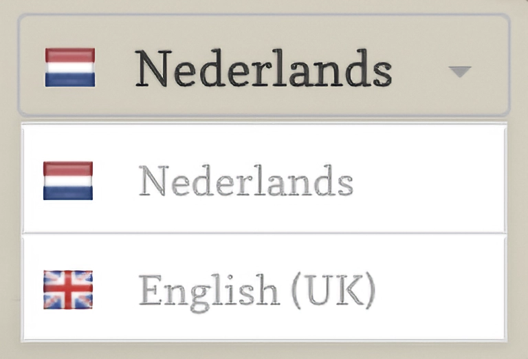 formulier taalwissel